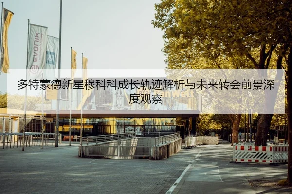 多特蒙德新星穆科科成长轨迹解析与未来转会前景深度观察