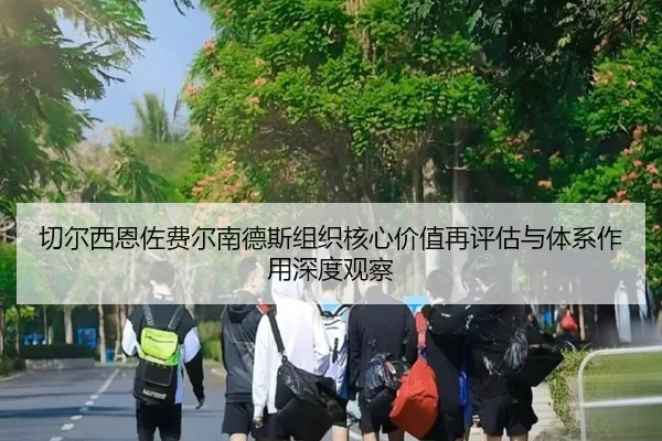 切尔西恩佐费尔南德斯组织核心价值再评估与体系作用深度观察