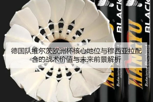 德国队维尔茨欧洲杯核心地位与穆西亚拉配合的战术价值与未来前景解析
